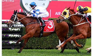 Brilliant performer Kolding (NZ) dominated in the A$500,000 Group One Fujitsu George Main Stakes (1600m) at Randwick. 